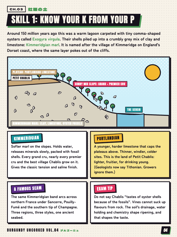 Page 4 of Burgundy Uncorked Vol. 04: The Oyster Dirt