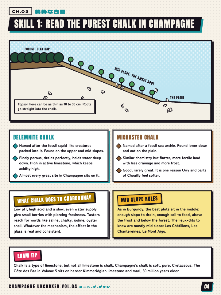 Page 4 of Champagne Uncorked Vol. 04: Pure Chalk